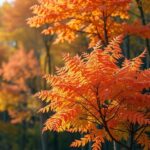 Herfstweer in leiden: wat je kunt verwachten en hoe je je voorbereidt